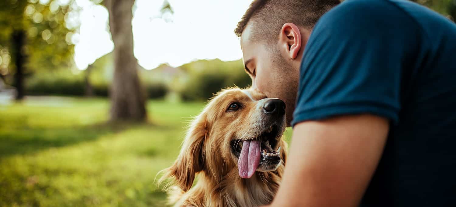 Mans best friend can now be classified as ‘medical treatment